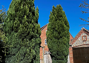 Village Tree Surgeons