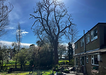 Village Tree Surgeons