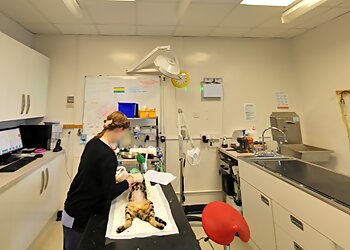 Village Vet St Albans