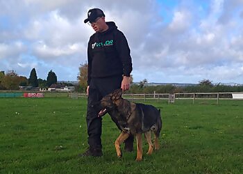 Vislor Dog Training Center