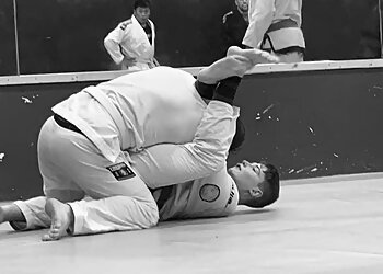 Viva MMA BJJ & Kickboxing