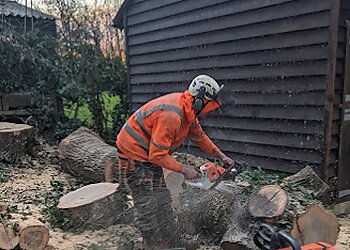 Wavey Tree Care Ltd.