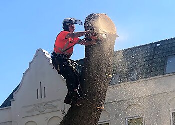 Wavey Tree Care Ltd.