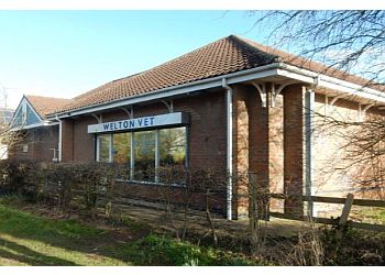 3 Best Vets in Lincoln, UK - Expert Recommendations