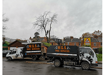 WGS Tree Services 