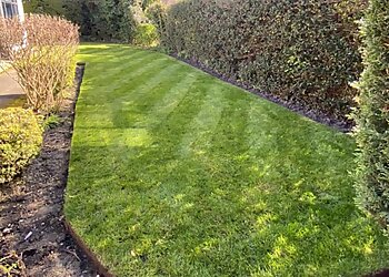 WW gardening services