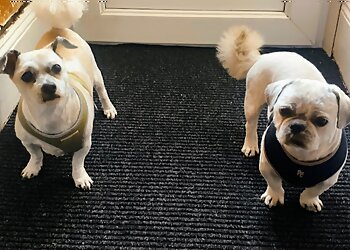 Wag & Bone Dog Grooming