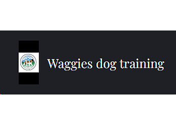 Waggies Dog Training