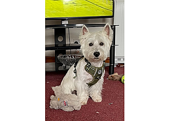 Wagging Tails Pet Grooming