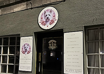 Wagging Tails Pet Grooming