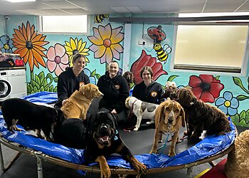 Oldham boarding kennels Waggy Warehouse image 1