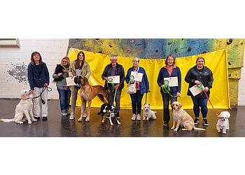 Waggy's Dog Training Waggy's Dog Training