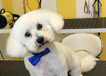 Wagnificent Dog Groomers