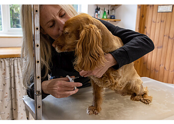 Wagtails of the Wolds