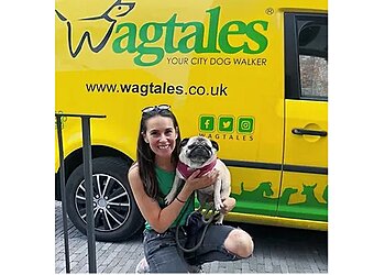 Wagtales
