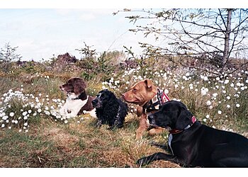 Walk & Train Edinburgh