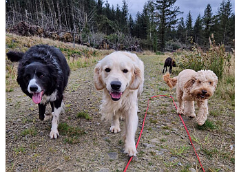 Walk & Train Edinburgh