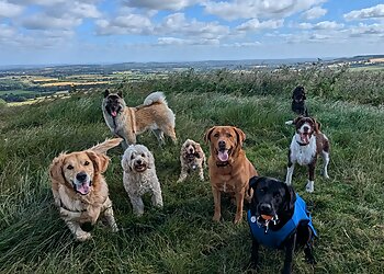 Walkie Talkie Pet Services