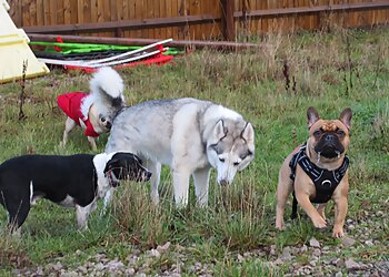 Walk At Ease With Walkies