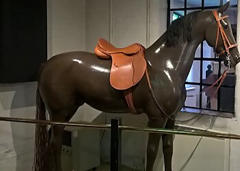 Walsall Leather Museum