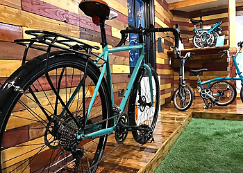 Walton Street Cycles Ltd