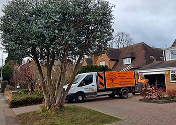 Ward Tree Services Ltd