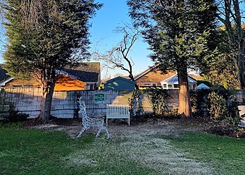 Ward Tree Services Ltd