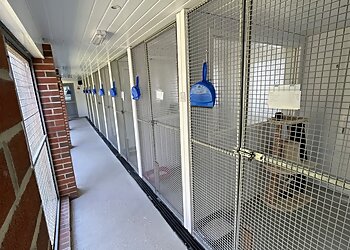 Warley Cross Kennels & Cattery