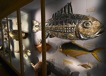 Warrington Museum & Art Gallery