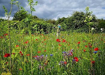 Wat Tyler Country Park