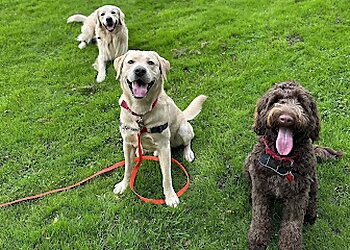 We Love Pets Aberdare