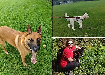 We Love Pets Belfast