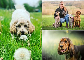 We Love Pets Cambridge