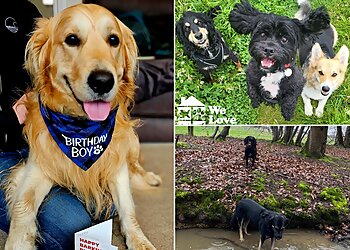 We Love Pets Canterbury