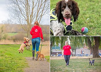 We Love Pets Chelmsford