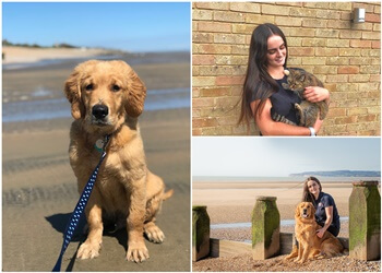 We Love Pets Eastbourne