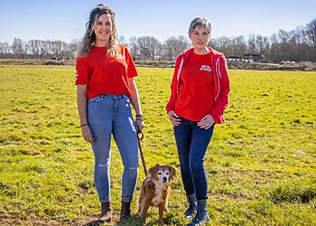 We Love Pets Hereford