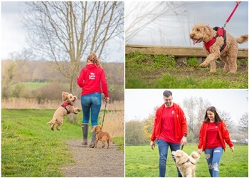 We Love Pets Sheffield