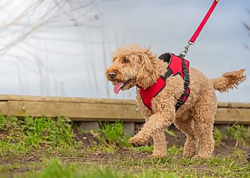 We Love Pets Newbury