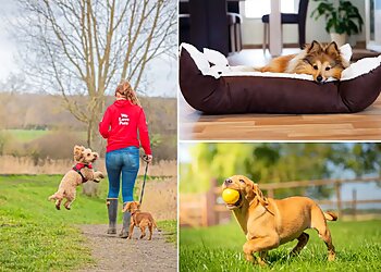 We Love Pets Newbury