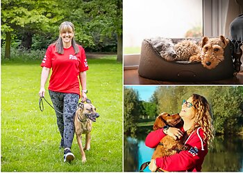 We Love Pets Ringwood