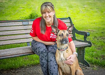 New Forest dog walkers We Love Pets (Ringwood) image 1