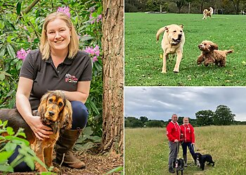 We Love Pets Solihull