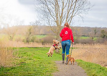 We Love Pets Stevenage