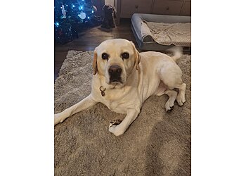 We Love Pets Stevenage