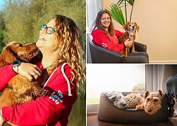 We Love Pets Stourbridge