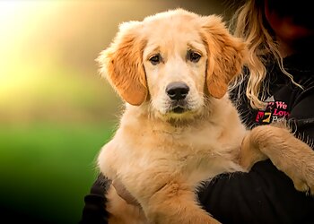 We Love Pets Telford