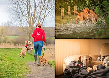 We Love Pets Telford