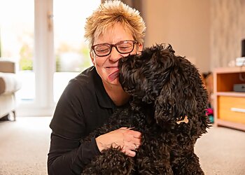 The Wrekin dog walkers We Love Pets Telford  image 1