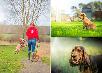 We Love Pets Wakefield